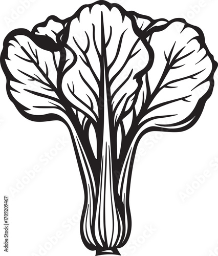 Bok Choy icon clean simple outline
