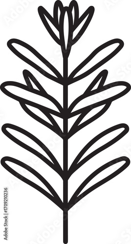 Rosemary, food icon clean simple outline