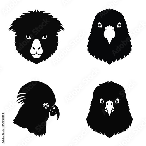 A collection of Australian animal heads, including a koala and cockatoos, presented as a graphic vector silhouette illustration set.