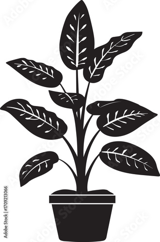 Dieffenbachia - Dumb Cane icon clean simple
