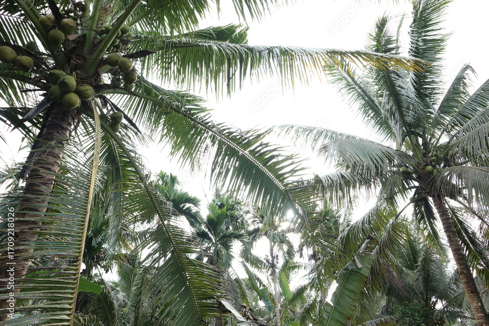 Fototapeta premium Random pic