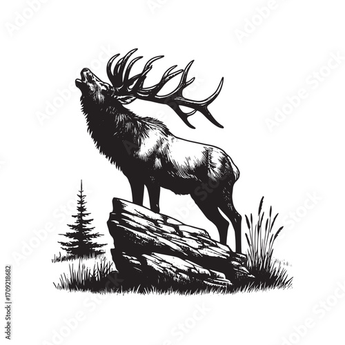Vector art of majestic elk standing on a rock, roaring with antlers raised