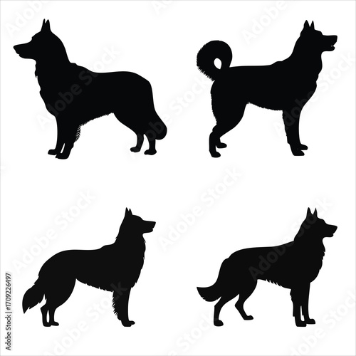 A collection of four farm goat figures in standing poses, a versatile and detailed vector silhouette illustration set isolated on white.