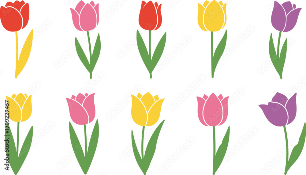 custom made wallpaper toronto digitalColorful tulip flowers in a row perfect for spring designs on transparent background