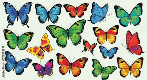 Vibrant collection of diverse butterflies in stunning natural colors, perfect for decorative designs.