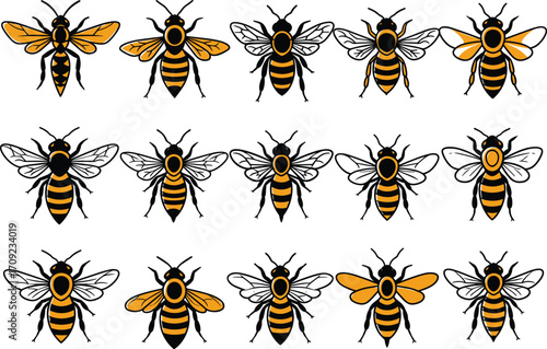 Vector set of honey bees in different styles and views, perfect for nature, entomology, pollination, farming, insect designs, educational or eco-themed use