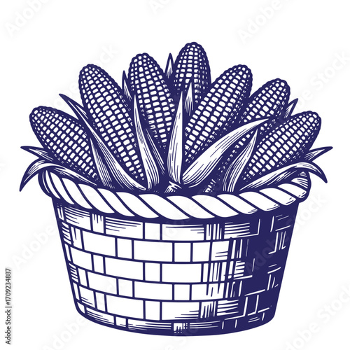 Vintage engraved basket of corn illustration depicting autumn harvest and organic produce
