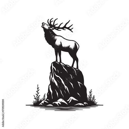Vector art of majestic elk standing on a rocky outcrop