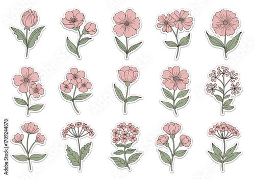 A charming collection of hand drawn delicate pink wildflowers in varying shapes and sizes.
