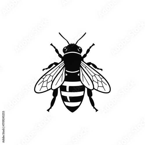 Black and white illustration of a bee, showcasing intricate details of its body and wings.