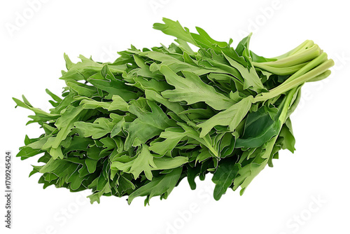 Freshly harvested garland chrysanthemum leaves isolated on white background transparent png