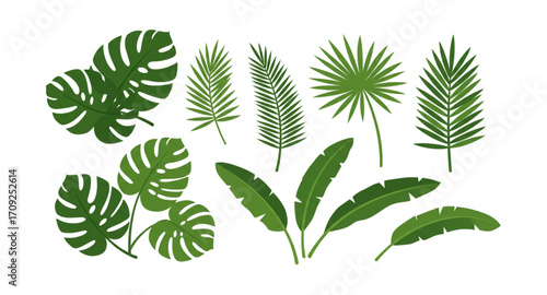 set of green leaves