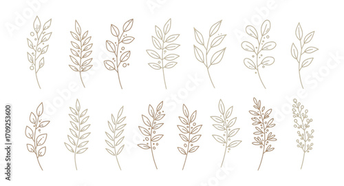 ears of wheat vector illustration