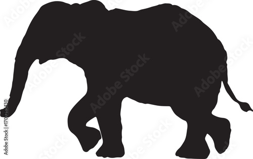 Vector silhouette of a walking baby elephant with large ears and tusks on a white background.