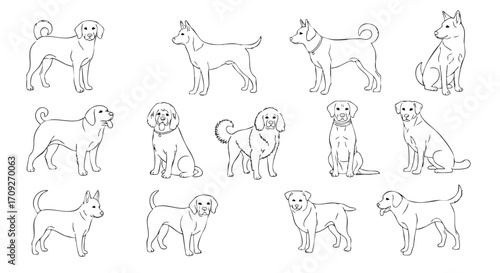 Collection of diverse dog breeds beautifully illustrated for creative projects