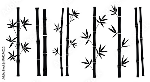 Simple black and white illustration showing several bamboo stalks with leaves