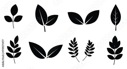 Collection of simple black leaf silhouettes arranged in a grid pattern