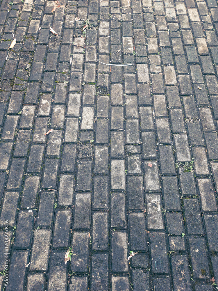 Fototapeta premium paving stone texture