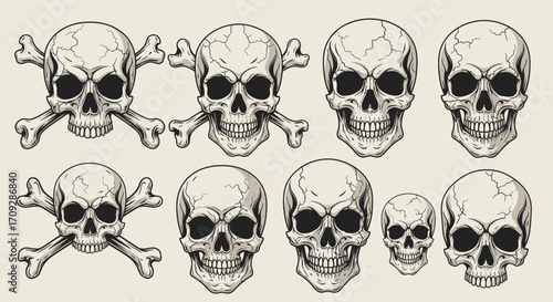 A collection of detailed vintage-style skull and crossbones illustrations, featuring various human skull designs with cracks and shading, some paired with crossed bones, on a light background.