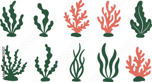 Collection of stylized green and red coral and seaweed on transparent background