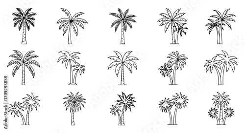 Palm tree outlines collection for tropical design projects, vacation themes, or summer branding