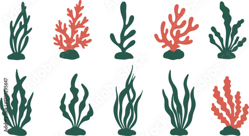 Variety of stylized coral and seaweed illustrations on transparent background
