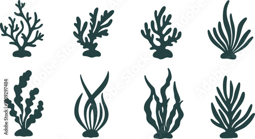 Stylized dark teal seaweed and coral collection illustration on transparent background
