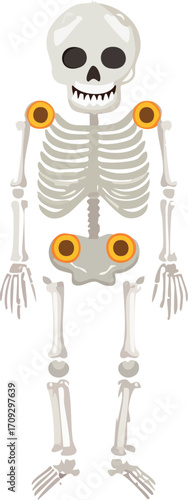 Cartoon skeleton with visible bones and joints standing upright.