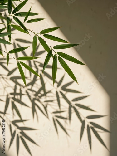 Captivating bamboo shadows dance on wall indoor space photography natural light close-up tranquility