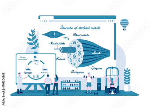 Vector illustrations with a fitness theme