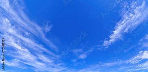 Vast expanse of bright blue sky dotted with wispy, feathery white clouds, spread thinly and evenly across the frame