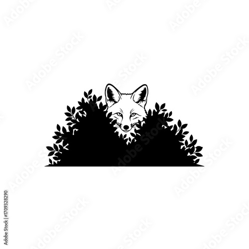 Fox peeking from behind bushes silhouette isolated on white background