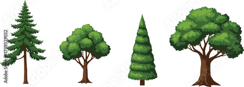 Different types of trees illustration, pine tree, deciduous tree, evergreen, nature, forest, green foliage, tree variety, environment, botanical, outdoor landscape, ecology, plant life