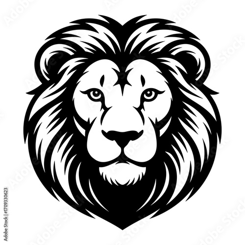 Lion Face