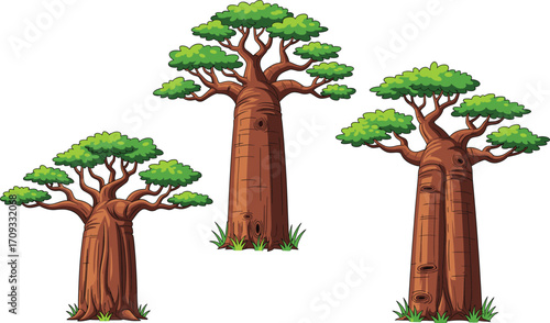 Cartoon baobab trees, African desert trees, unique trunk shape, nature vector art, tropical forest, distinctive tree illustration, exotic flora