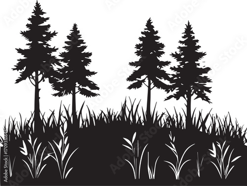 Nature scenery showing tall evergreen trees and wild grass