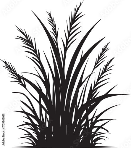 Black silhouette of wild grass blades growing in natural cluster
