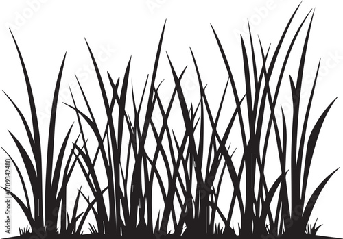 Black silhouette of wild grass blades growing in natural cluster