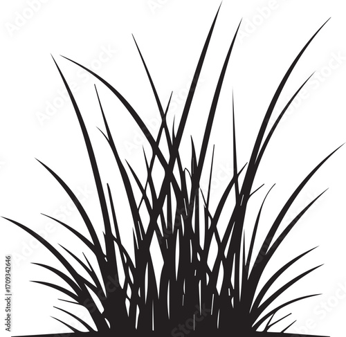 Black silhouette of wild grass blades growing in natural cluster