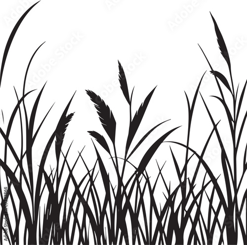Black silhouette of wild grass blades growing in natural cluster
