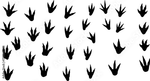 Set of Dinosaur Footprint Silhouette
