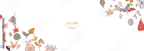 秋の落ち葉と木の実のベクターイラスト。葉っぱの秋植物イラスト。秋の線画背景。Autumn leaves and nuts vector illustration. Autumn plant illustration with leaves. Autumn line art background.