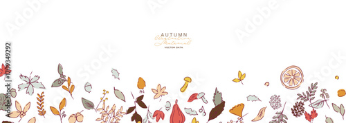 秋の落ち葉と木の実のベクターイラスト。葉っぱの秋植物イラスト。秋の線画背景。Autumn leaves and nuts vector illustration. Autumn plant illustration with leaves. Autumn line art background.