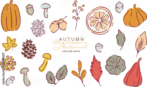 秋の落ち葉と木の実のベクターイラスト。葉っぱの秋植物イラスト。秋の線画背景。Autumn leaves and nuts vector illustration. Autumn plant illustration with leaves. Autumn line art background.