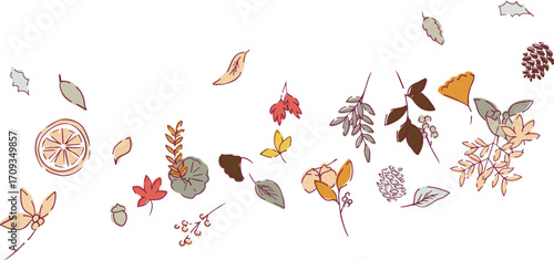 秋の落ち葉と木の実のベクターイラスト。葉っぱの秋植物イラスト。秋の線画背景。Autumn leaves and nuts vector illustration. Autumn plant illustration with leaves. Autumn line art background.