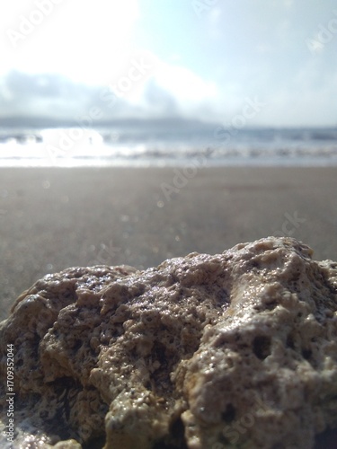 Sunlit Beach Scene With Rock in Foreground, Waves Rolling Onto the Quiet Shore