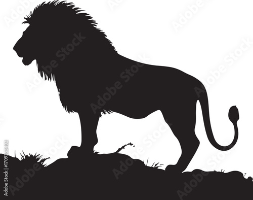  Lion silhouette. Vector illustration black on white background.