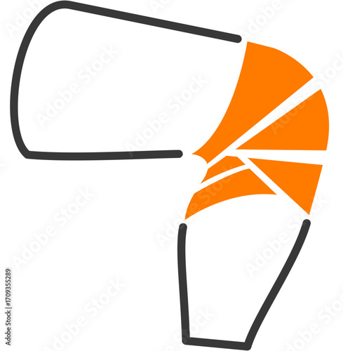 Knee Injury