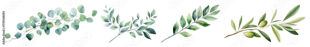 Naklejka premium PNG Elegant watercolor olive branches, element set on transparent background