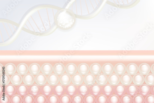 Hyaluronic acid and Niacinamide hair and skin solutions ad, white collagen serum drops into skin cell with cosmetic advertising background ready to use, illustration vector.	